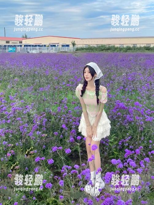 51吃瓜 当51吃瓜苹果版遇上全网八卦,真是吃不到的奇妙探险!