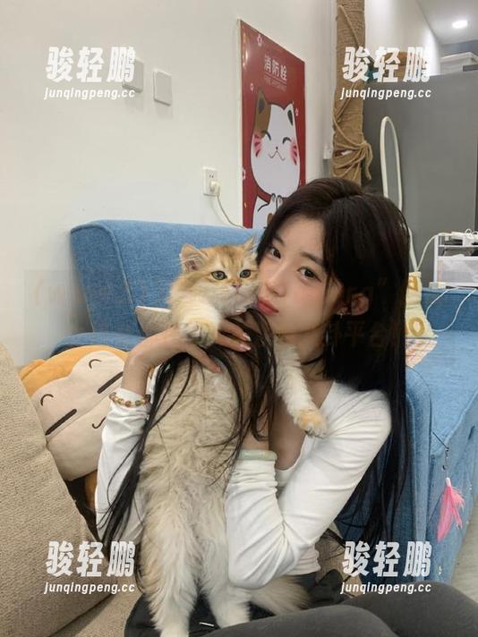 “www.51cg.org”网站，连猫都在悄悄关注的八卦平台！